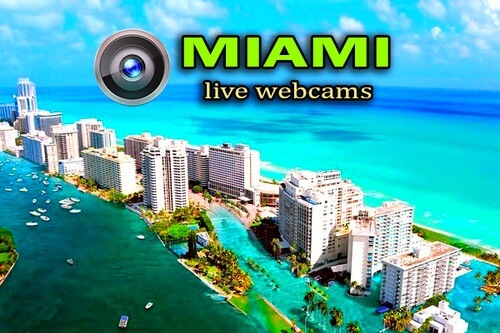 The Best Live Webcams Miami in HD Quality!